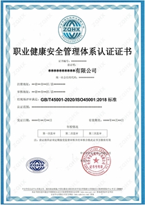 職業(yè)健康安全管理體系ZQHX